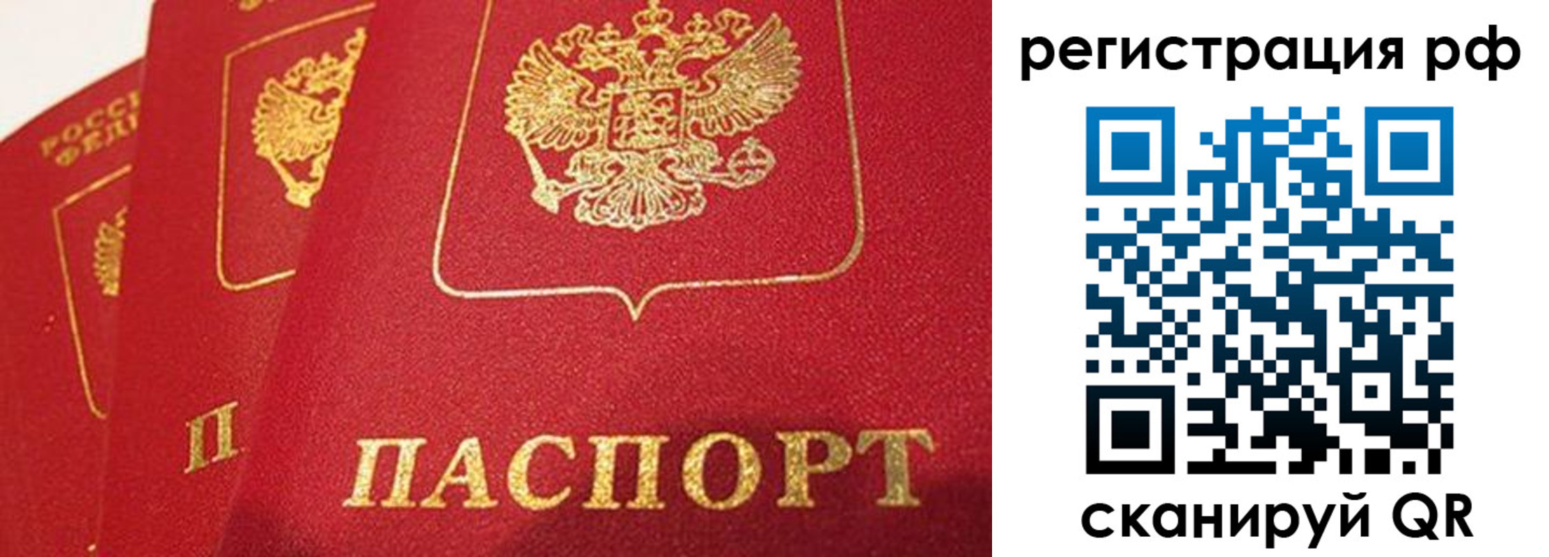 прописка поиск в Белой Калитве